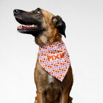 PawsIndia Customized Pet Bandana - Valentine's Edition Cute Hearts Print